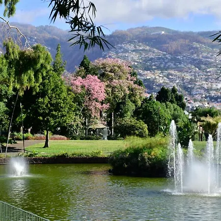 Apartment Ocean Paradise Do Til Funchal (Madeira)
